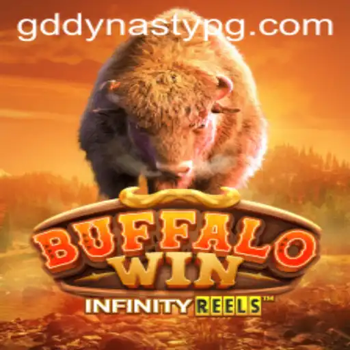 BuffaloWin: The Exciting World of GDDYNASTY